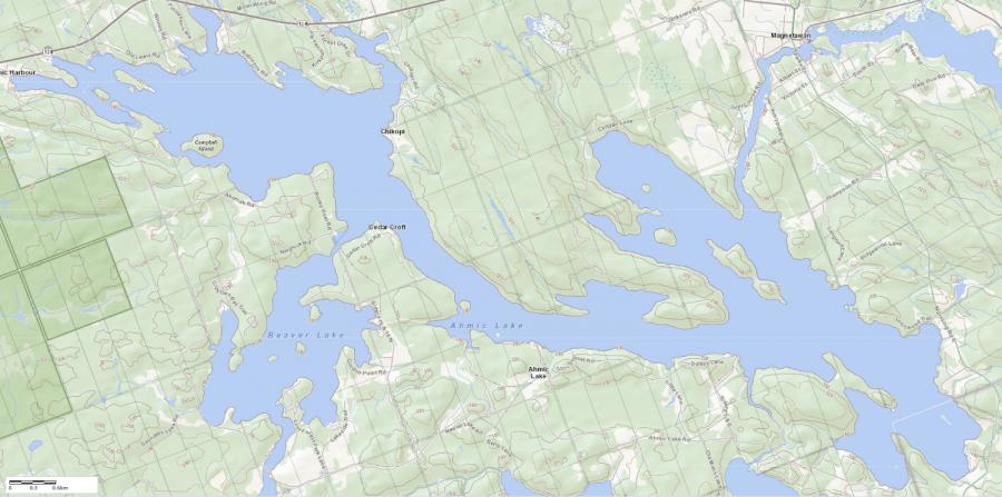 Topographical Map of Ahmic Lake in Municipality of Ryerson and the District of Parry Sound